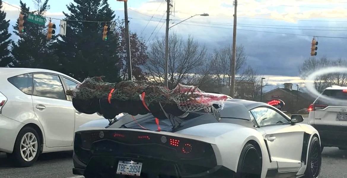 Un șofer a fost filmat în timp ce transportă bradul de Crăciun pe eleron – FOTO
