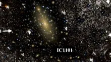 Cea mai mare galaxie din Univers este de fapt...
