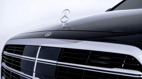 Producția unei fabrici Mercedes-Benz din India a fost oprită din cauza unui vizitator-surpriză (cu video)