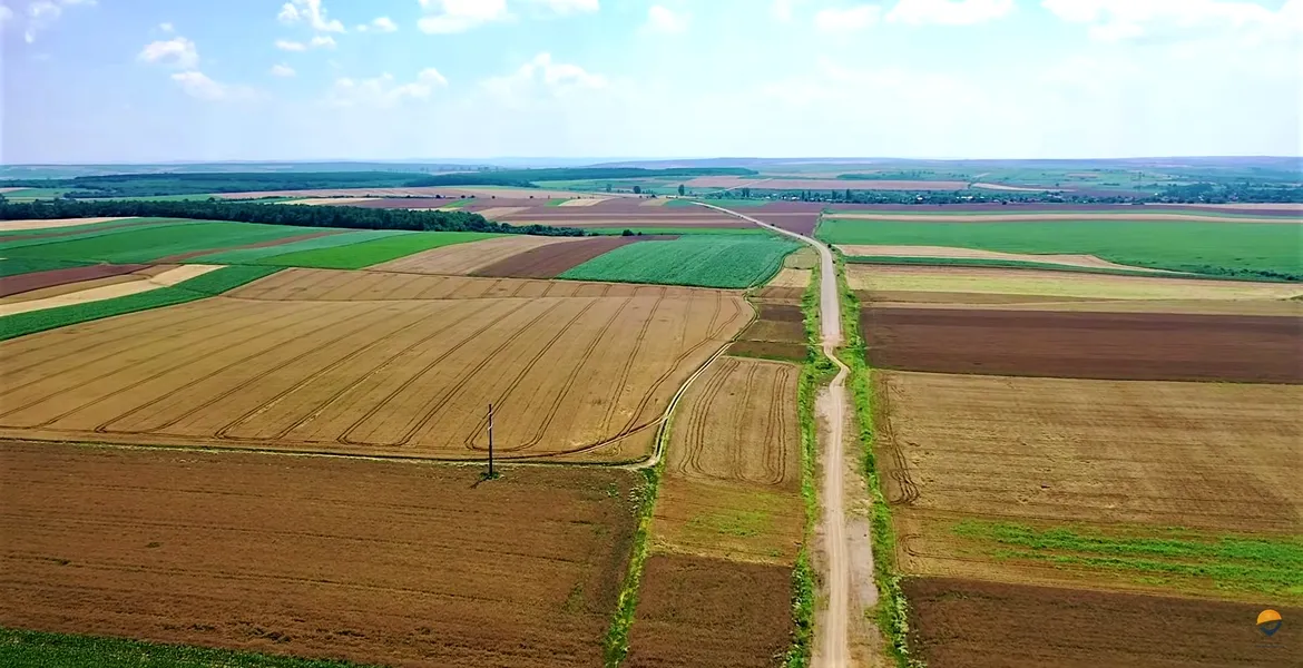 Imagini video cu încă un proiect din seria „Ruşini Naţionale”