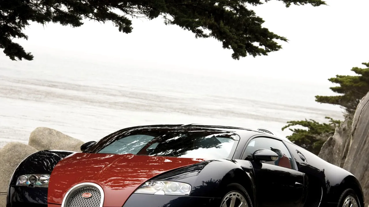 50-bugatt-veyron-hermes 