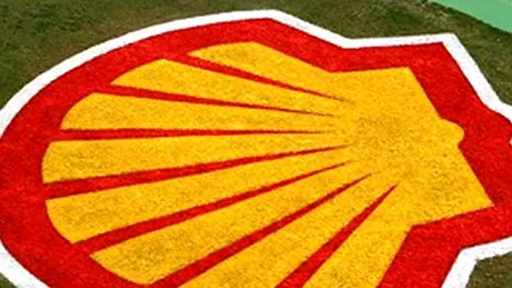 Shell spune că biocombustibilii sunt mai importanţi decât hidrogenul şi electricitatea
