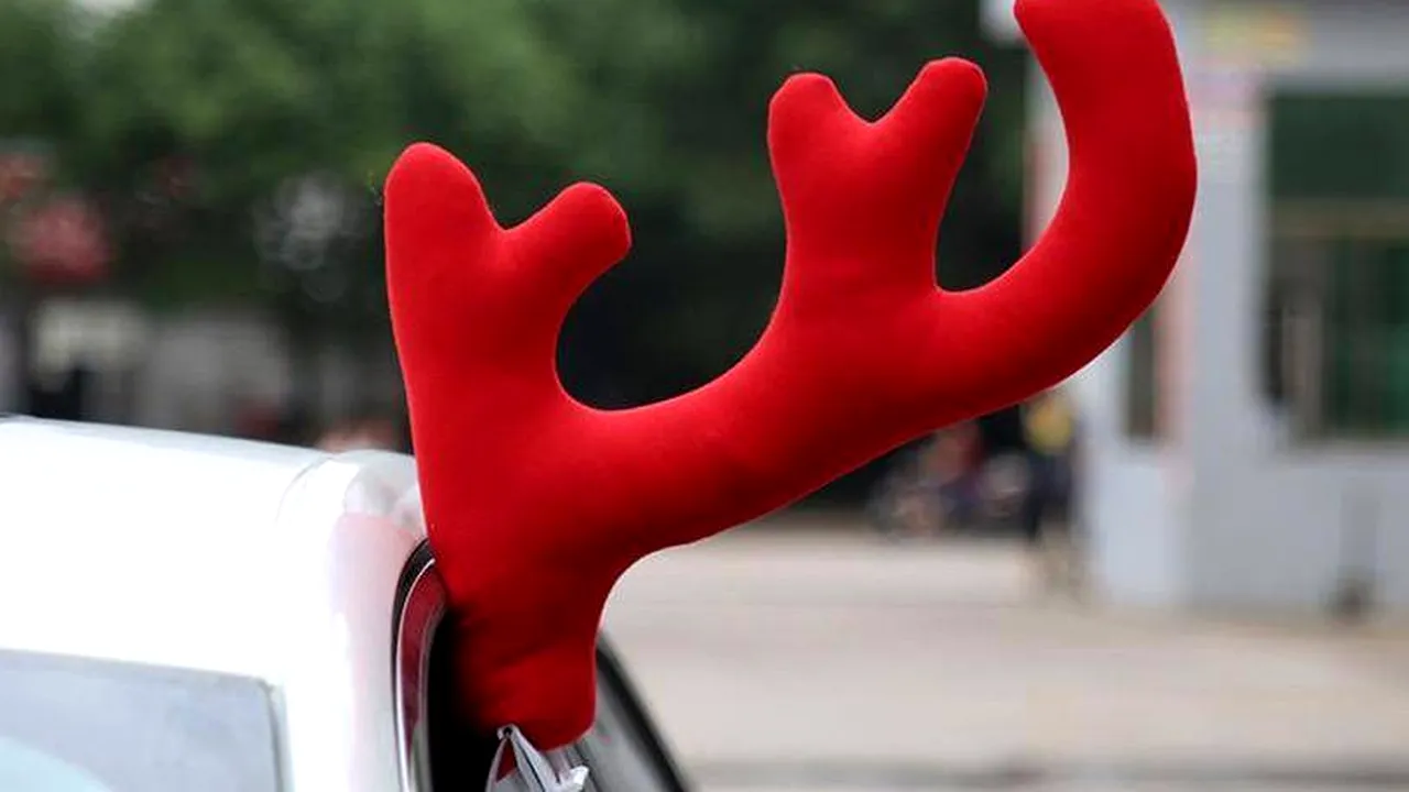 rsz_1coarne_pe_mașină_6 