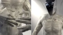 Imagini terifiante cu cel mai PUTERNIC robot din lume