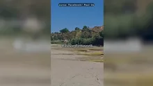 Imagini dramatice pe cursul Dunării, în apropiere de Cernavodă, unde s-au format adevărate dune de nisip. „Trebuia făcută decolmatare”