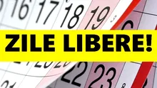 Două zile libere pentru elevi în luna octombrie. Când începe vacanța de toamnă