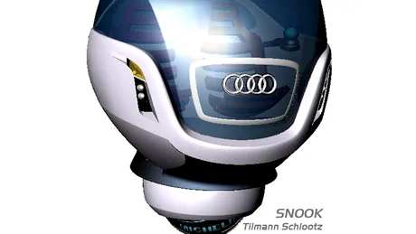 Audi Snook