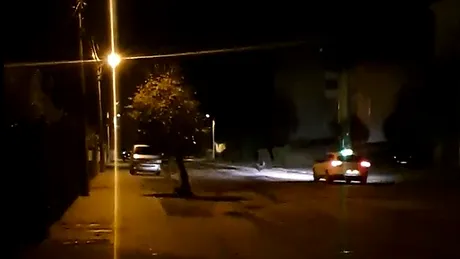 Un urs este alergat cu maşina pe străzile din Făgăraş - VIDEO