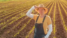 BANCUL ZILEI. – Vezi că Maria ta e cu Gheorghe în porumb!