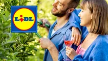 Top scule electrice Parkside și produse Livarno Home la prețuri bune în catalogul Lidl din august