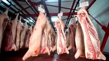 80% din carnea de porc din România vine din import, avertizează ANPC