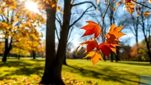 Ce temperaturi vor fi la începutul toamnei? Prognoza emisă de ANM