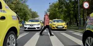 2026: Ești obligat să oprești dacă te afli pe banda 2 când pietonul începe traversarea? Regula din noul Cod Rutier
