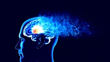 Un nou studiu a identificat patru căi majore de evoluție a bolii ALZHEIMER
