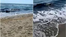 Alertă la Marea Neagră. Mai mulți turiști au reclamat un miros greu și apă de culoare suspectă pe o plajă din Mamaia Nord