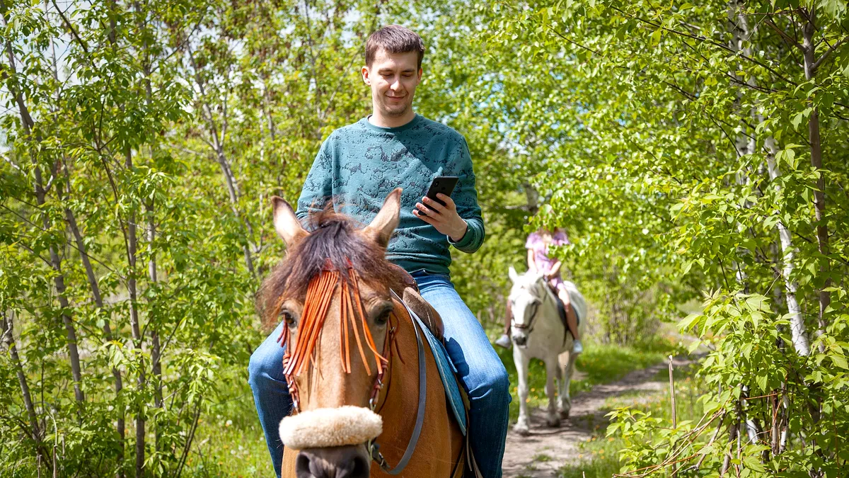 Unde s-a ajuns: polițiștii au amendat un călăreț care vorbea la mobil!