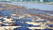 Alertă la Marea Neagră. Tonele de păcură din Bulgaria s-ar putea extinde și spre România