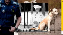 Muncitorii vietnamezi vânează câini și pisici în București! Reacția Poliției