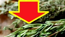 Planta din bucătărie care ALUNGĂ demența!