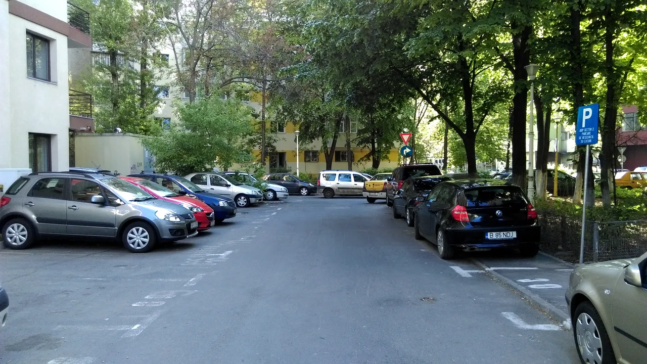 Poza 1
