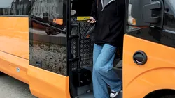 Licitație pentru 25 de microbuze școlare în Timiș. Ce dotări trebuie să aibă