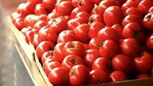 Unde au fost descoperite roșii cu Salmonella. Este o locație populară printre români