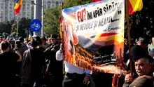 GUNOAIE lăsate în urmă de CIOBANI: vuvuzele, sticle și un pantof. Cum a profitat un român?