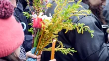 Tradiții și obiceiuri la români.  Ce nu ai voie să faci în Duminica de Florii 2024
