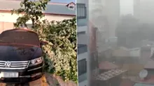 Furtună violentă în București după valul de caniculă. Copaci căzuți, străzi inundate, mașini avariate