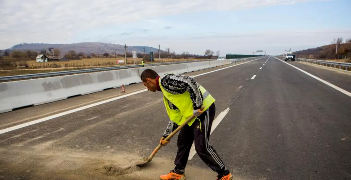 Porc căzut dintr-o maşină de transport, fotografiat pe autostrada A1 Orăştie-Sibiu