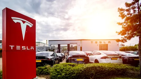 Tesla a obținut o victorie împotriva ecologiștilor germani: Gigafactory 4 continuă