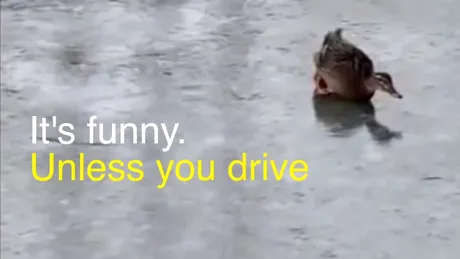 VIDEO: E amuzant să aluneci pe gheaţă, doar că nu atunci când conduci