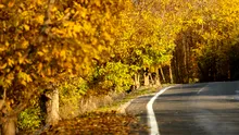 Acestea sunt cele mai SPECTACULOASE peisaje de toamnă din Europa! Un loc din România, SURPRIZA clasamentului