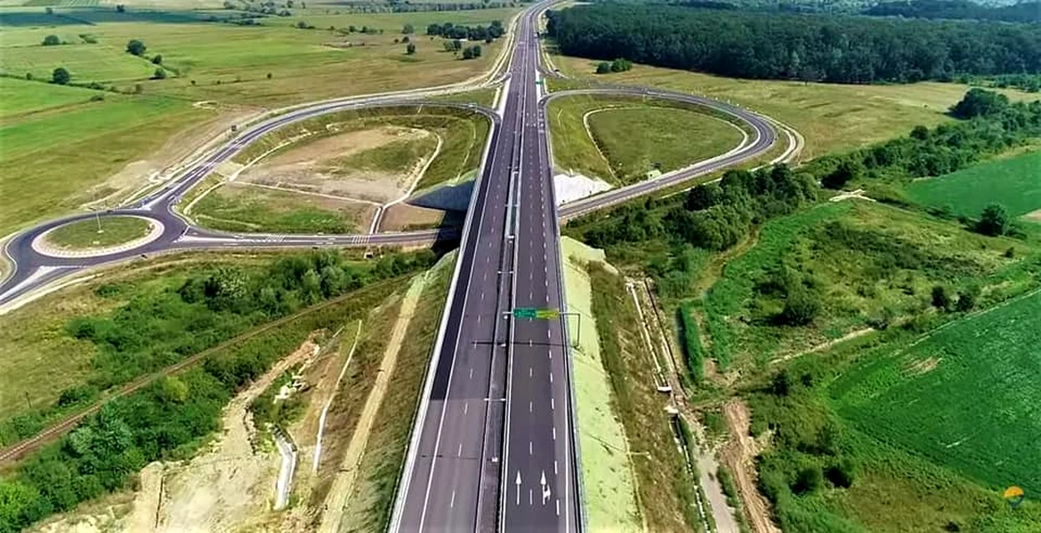Gândacul care blochează autostrada Sibiu-Pitești ar putea fi mutat cu tehnologii bazate pe utilizarea feromonilor