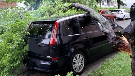 2025: Cine plătește pagubele dacă un pom cade peste mașina ta? Cum poți solicita despăgubiri