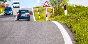 Într-o secundă, un animal poate apărea în fața mașinii. Ce daune poate acoperi asigurarea auto