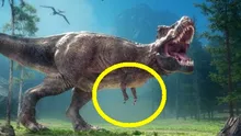 De ce dinozaurii carnivori aveau brațe așa mici?