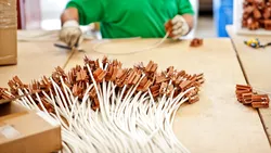 LEONI restructurează operațiunile din România. Compania este furnizor global de cabluri și ansambluri electrice