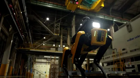 Hyundai Motor Group tocmai a lansat primul său robot