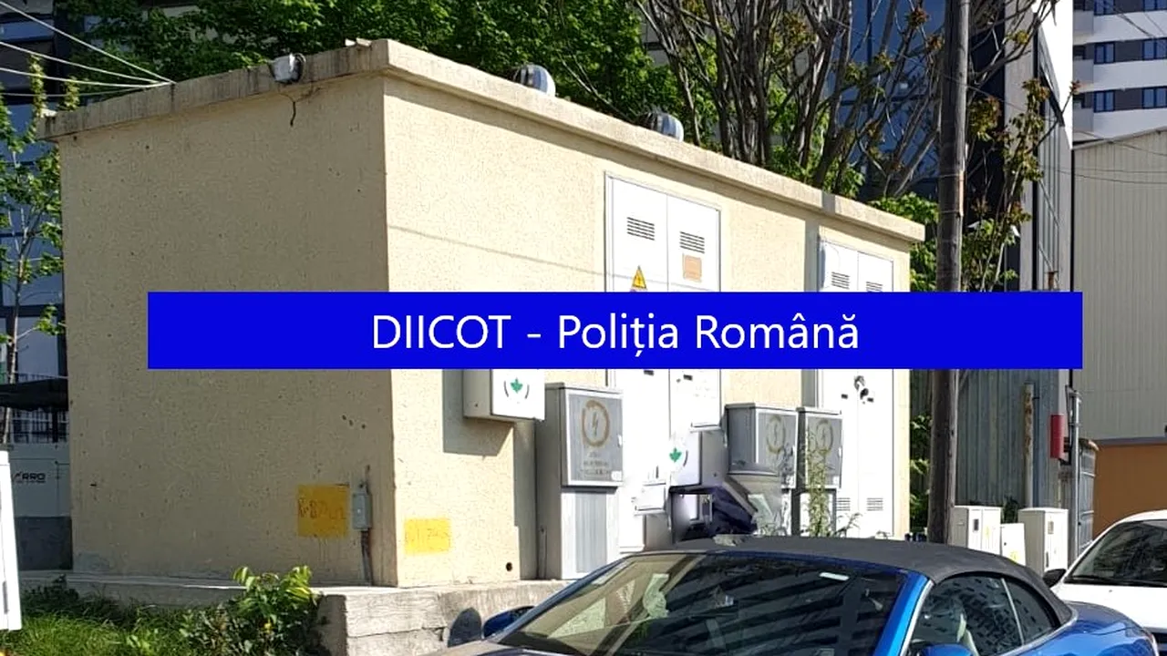 Poza 1