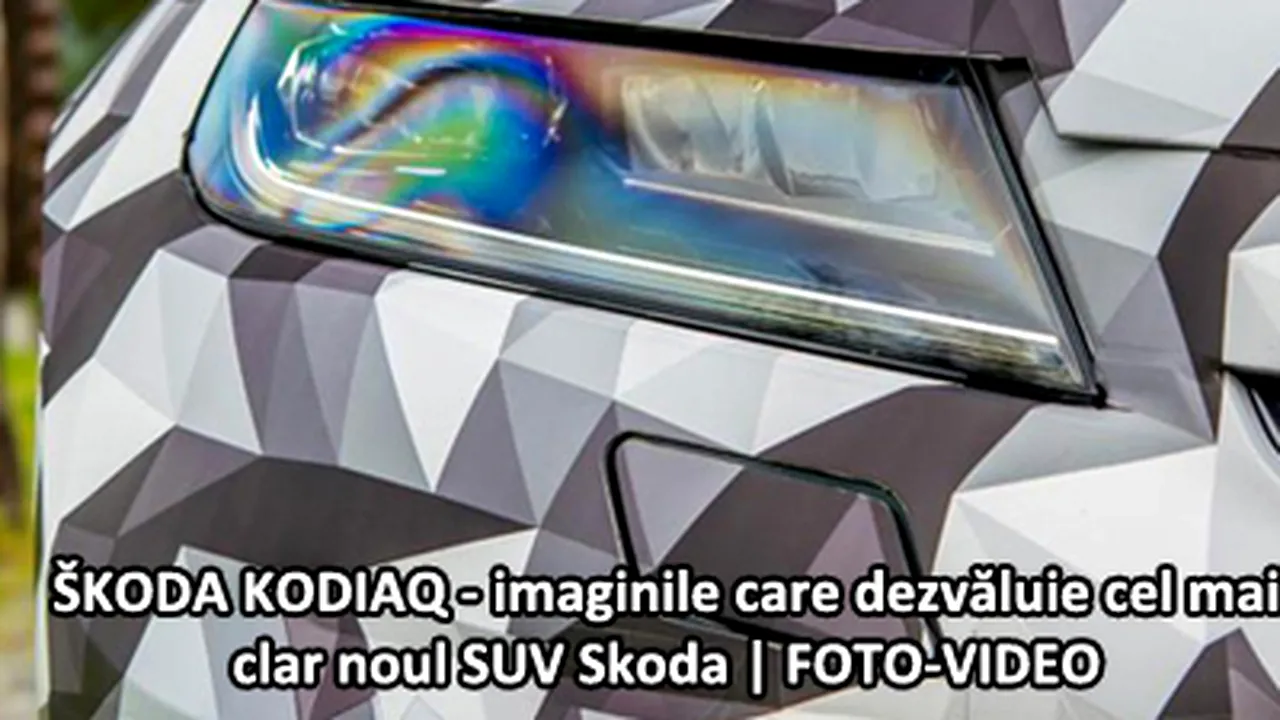 Poza 1