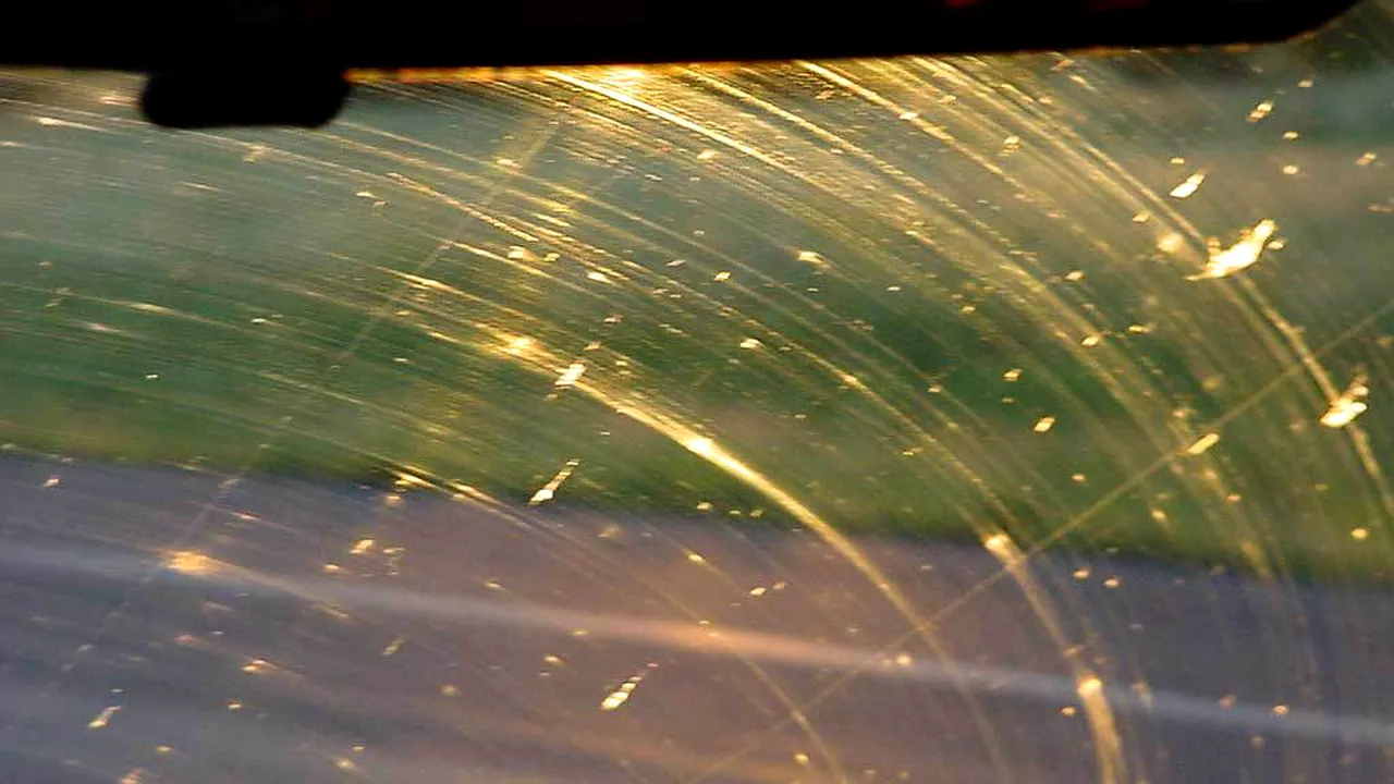 1-bugsonwindsheild 