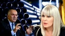 Elena Udrea se dezlănțuie, după ce a aflat că un oligarh din Ucraina a cumpărat fabrica de la Roman: „Se repetă prostia, lașitatea si slugărnicia”