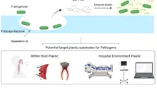 Un nou risc în spitale: superbacteria care „mănâncă” plastic