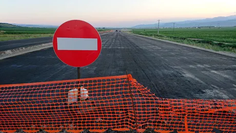 Gândacul care a suspendat finanţarea Autostrăzii Sibiu-Piteşti. Se află pe lista speciilor ameninţate