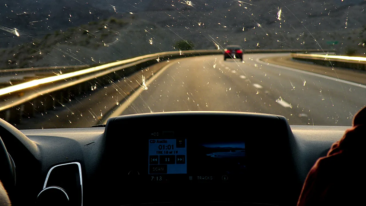 1-bugs-windshield 