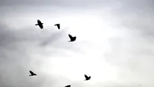METEO. Cum va fi vremea în următoarele patru săptămâni. Prognoza ANM