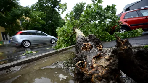 Mașină avariată de pomi, acoperiș sau indicatoare rutiere smulse de furtună: cine plătește? Cum obții despăgubiri în 2026