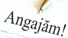 Se fac angajări! Nu e nevoie de facultate, iar salariile ajung și la aproape 6.000 de lei