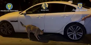Flagrant cu 1 kg de cocaină într-un Jaguar XF alb: cum a decurs intervenția autorităților – VIDEO
